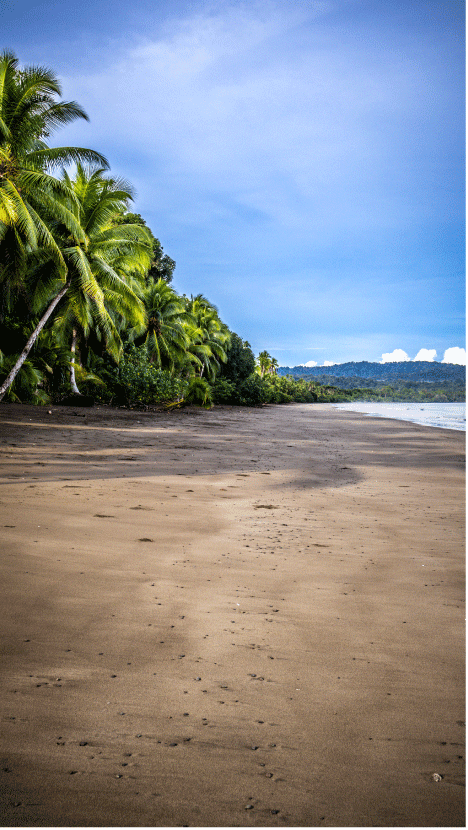 COQUI,  AVENTURA, TRANQULIDAD Y GOZADERA